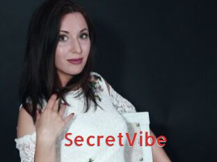 SecretVibe Archive DVD NET