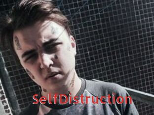SelfDistruction