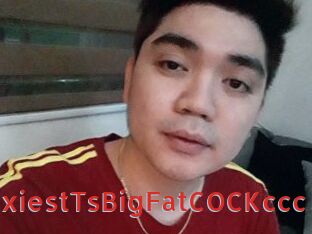 SexiestTsBigFatCOCKccc Archive DVD NET