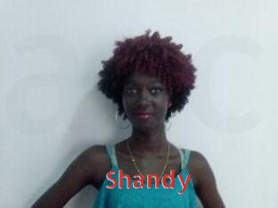 Shandy