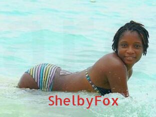 ShelbyFox Archive DVD NET