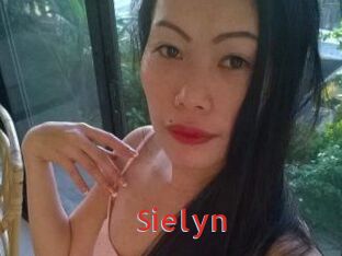Sielyn Archive DVD NET