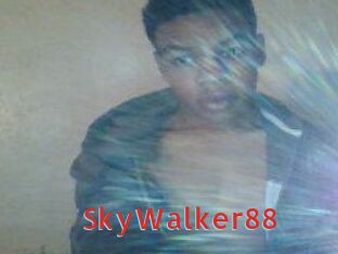 SkyWalker88