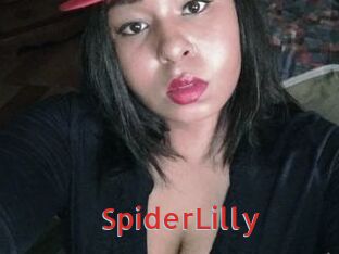 SpiderLilly