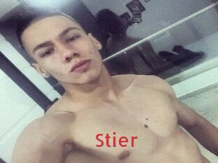 Stier