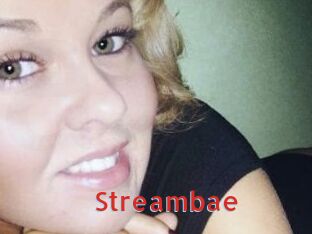 Streambae Archive DVD NET