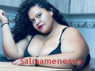 salmameneses Archive DVD NET