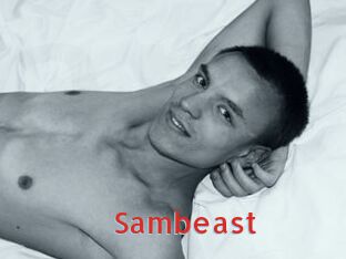 sambeast Archive DVD NET