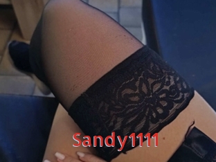 Sandy1111