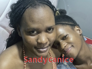 Sandycanice