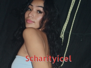 scharityicel Archive DVD NET