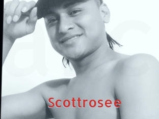 Scottrosee