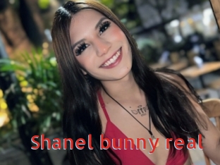 Shanel_bunny_real