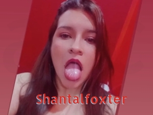 Shantalfoxter