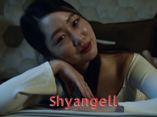 shyangell Archive DVD NET