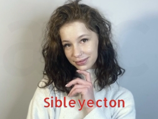 sibleyecton Archive DVD NET