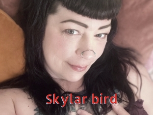 Skylar_bird