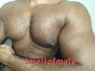 Smellofmale