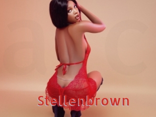 stellenbrown Archive DVD NET