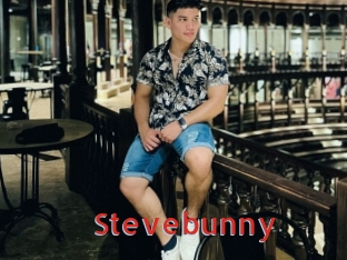 Stevebunny