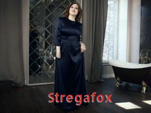 stregafox Archive DVD NET