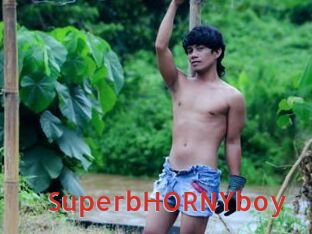 SuperbHORNYboy