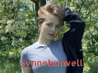 Synnebanwell