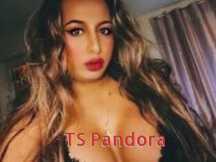 TS_Pandora