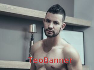 TeoBanner