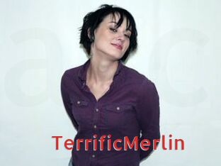 TerrificMerlin