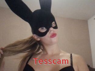 Tesscam