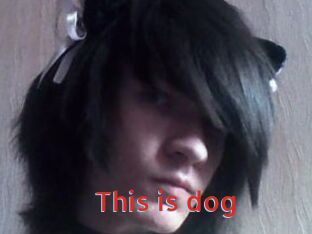 This_is_dog
