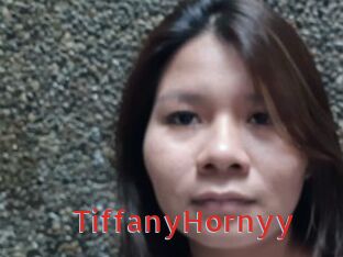 TiffanyHornyy Archive DVD NET