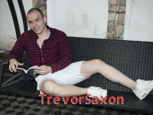 TrevorSaxon Archive DVD NET
