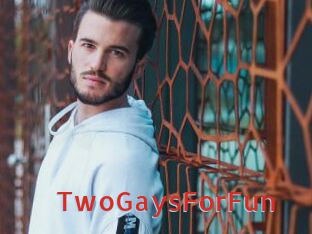 TwoGaysForFun