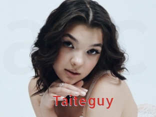 Taiteguy