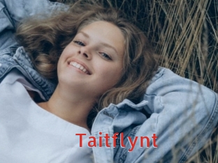 Taitflynt