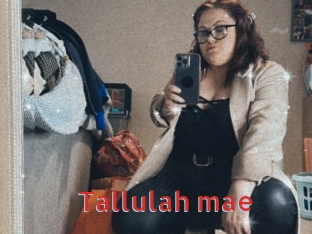 Tallulah_mae