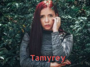 tamyrey Archive DVD NET