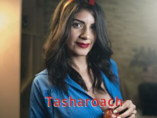 tasharoach Archive DVD NET