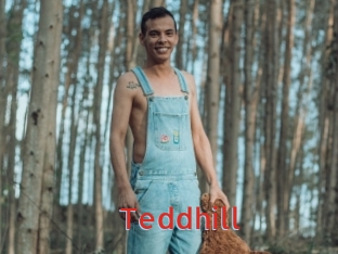 Teddhill