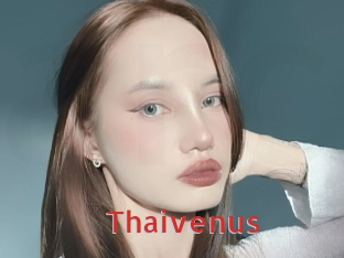 Thaivenus