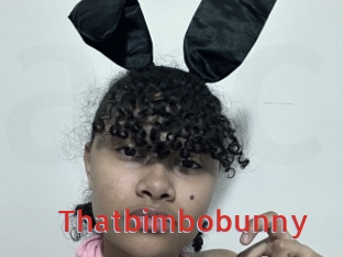 Thatbimbobunny