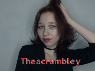 theacrumbley Archive DVD NET