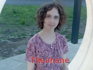 theahane Archive DVD NET