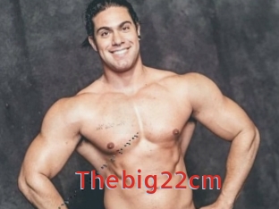 Thebig22cm