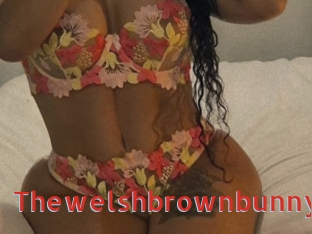 Thewelshbrownbunny