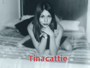 tinacattie Archive DVD NET