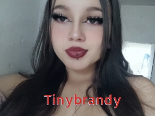 Tinybrandy