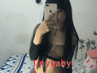 Tinygaby